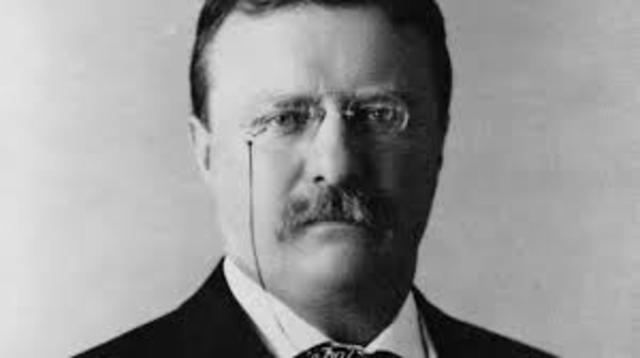 Teddy Roosevelt