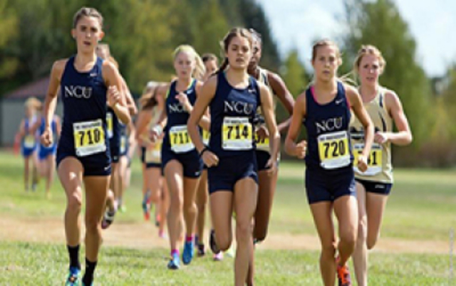 Association for Intercollegiate Athletics for Women