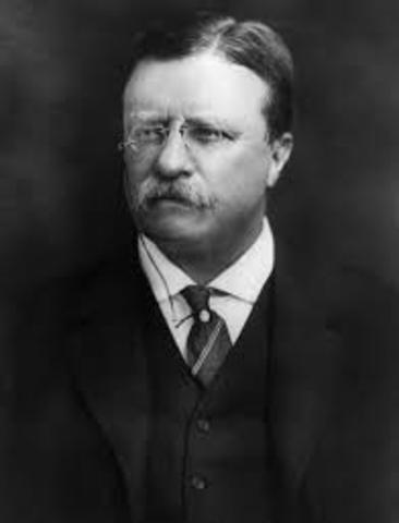 Theodore Roosevelt President after Assassination of McKinnely