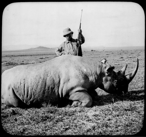 Roosevelt Leaves US after Presidency, Goes to Africa