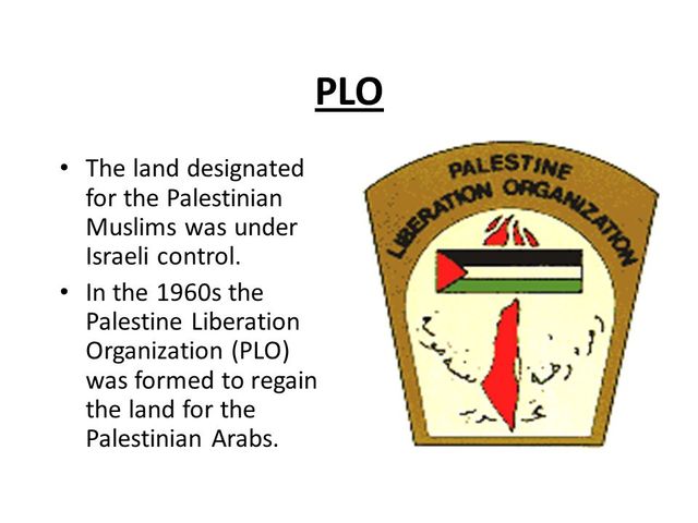 Palestine Liberation Organization Formed