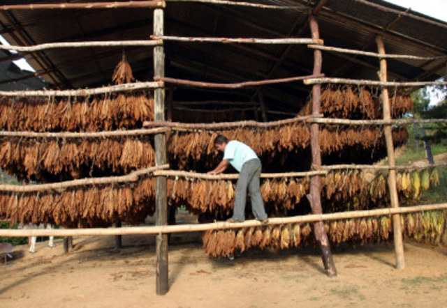Los Hacendados Colombianos
