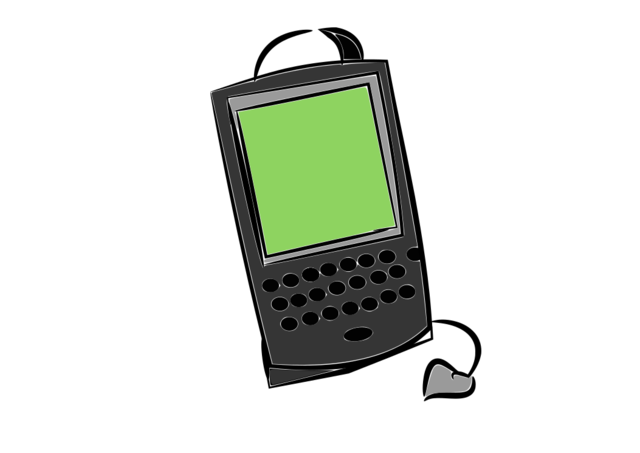 BLACKBERRY 5810