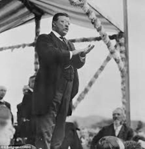 Teddy Roosevelt nominated as Bull Moose candidate