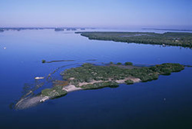 Pelican Island, Florida, named first national wildlife refuge