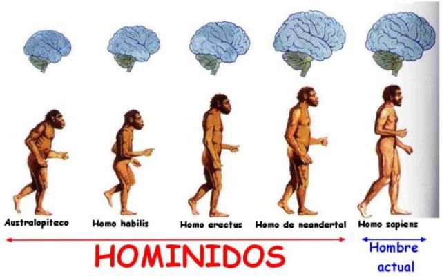 Aparición del Homo sapiens sapiens en la Península Ibérica. 40.000 aC