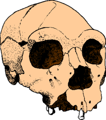 Paleolitico Inferior