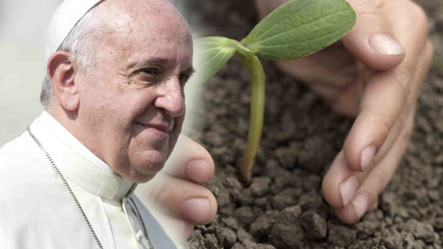 Pope Francis Calls for Environmental Justice