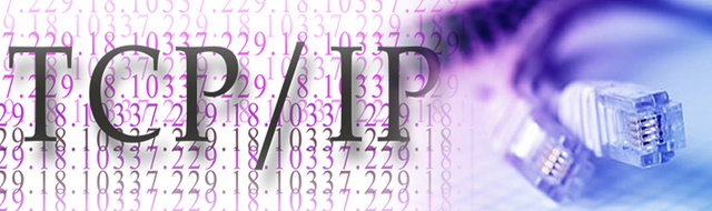 se desarrolla  el protocolo de  Internet TCP/IP