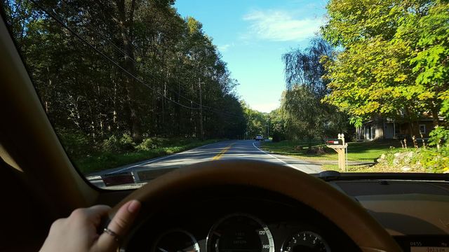 Senior Driver's License