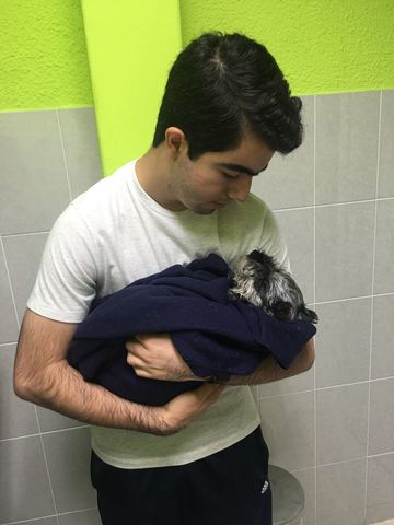 La muerte de mi primer mascota