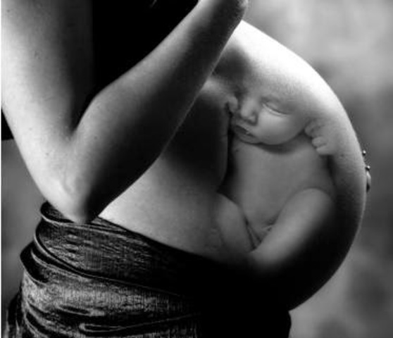 24 semanas de gestacion