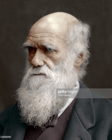 Charles Robert Darwin