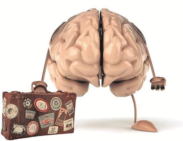 ¿POR QUÉ SE INDIGNARON LOS CEREBROS FUGADOS COLOMBIANOS?