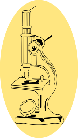 Microscopio antiguo