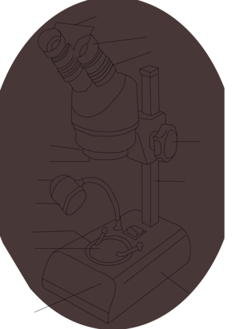 Microscopio hasta el dia de hoy