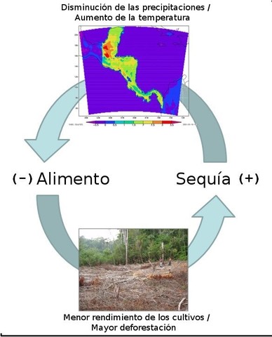 Causas de la caída -cambio climático-