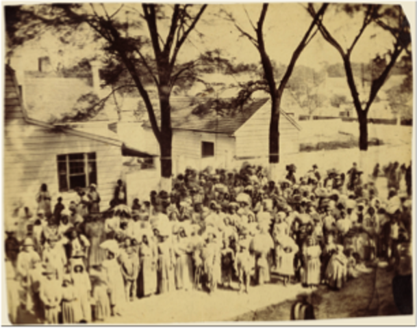 Slave Society Develops