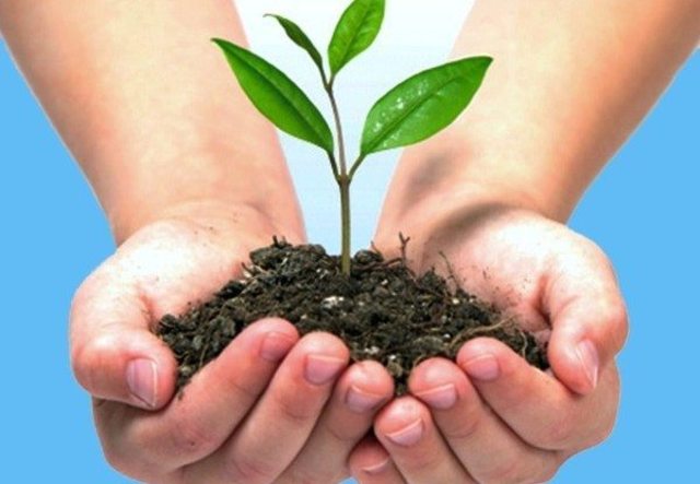 Politica Ibternacional para el Cuidado del Medio Ambiente