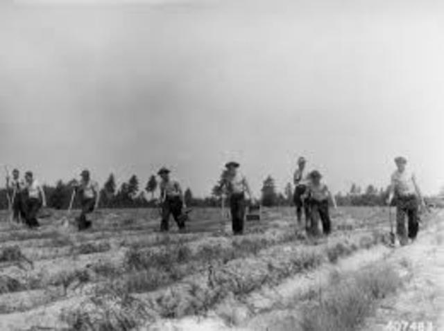 civilian conservation corps