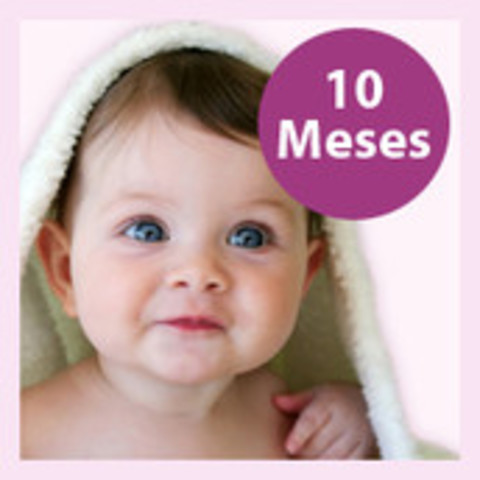 10 meses