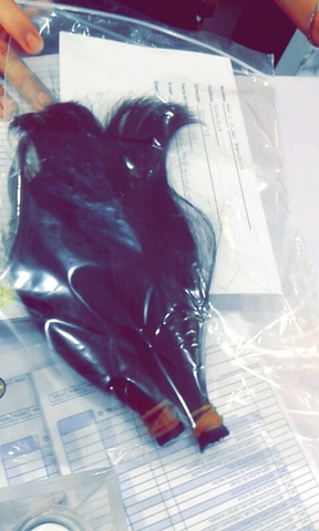 Segunda Donación, ahora para Guatemala