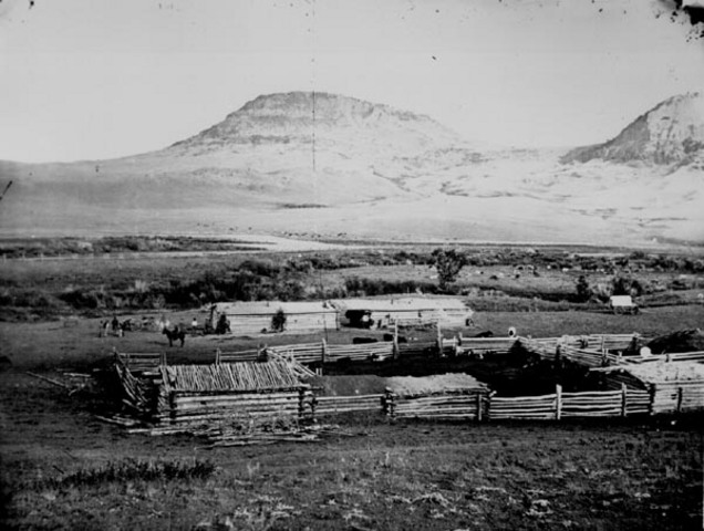 The Blue Mountain Cattle Ranch is started