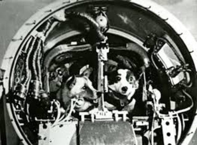 Soviets Launch Dogs and Mice into Space and bring them back Alive