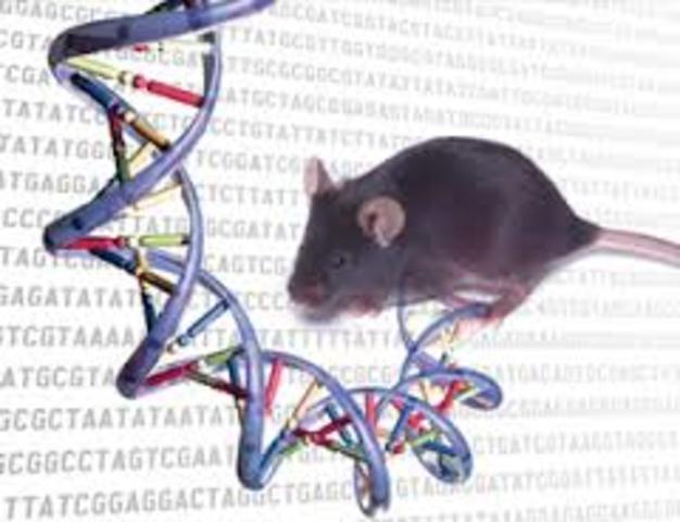 Mouse Genomes