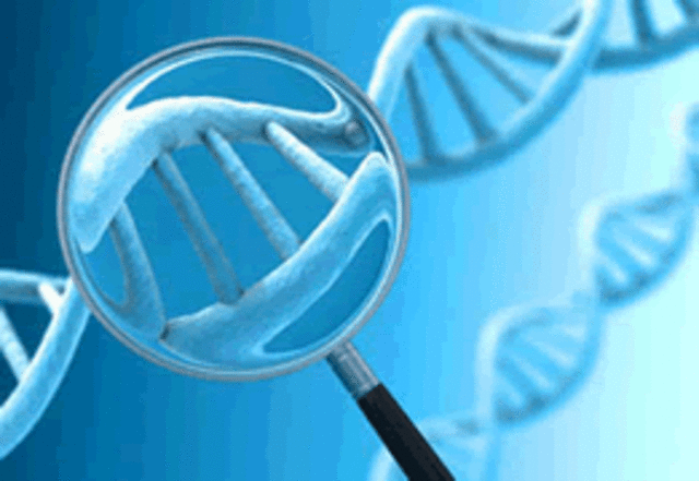 Ban on Genetic Discrimination in Workplace