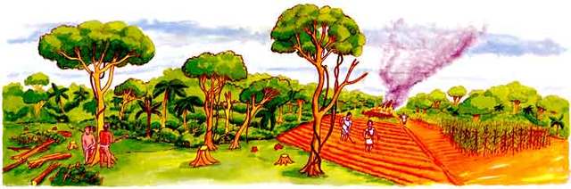 Caída de la civilización