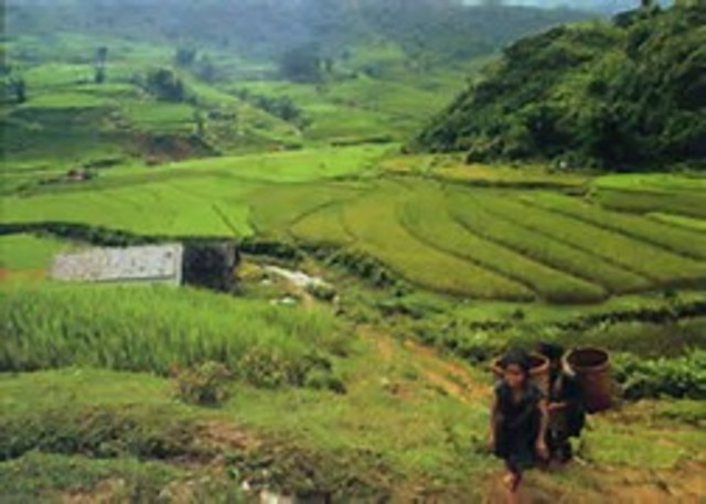 Agricultural begins in North America