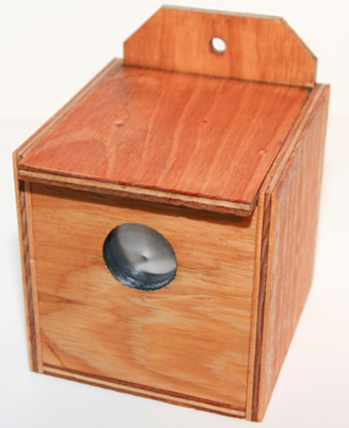 The pinhole camera