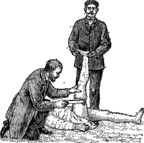 Creacion de primeros instrumentos