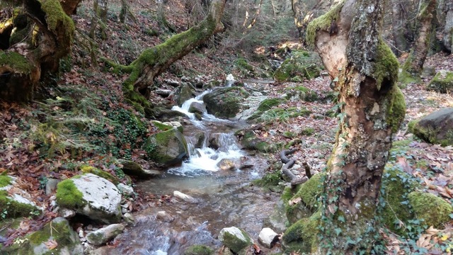 Τριήμερο σεμινάριο επιμόρφωσης στην Περιβαλλοντική Εκπαίδευση