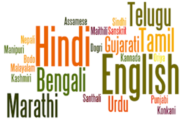 The Official Language Act 1963