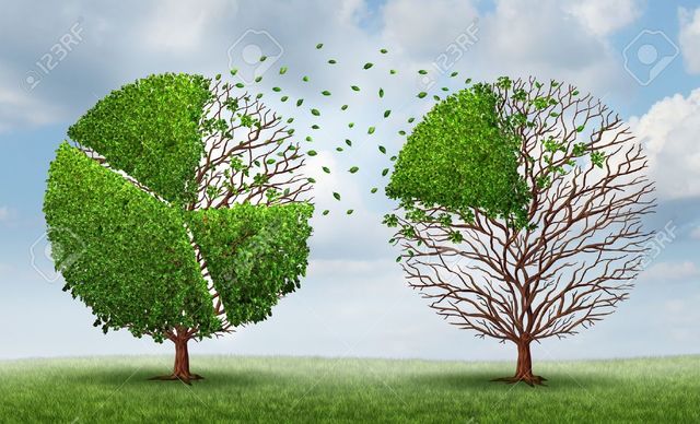 Magic Life vállalati részesedés