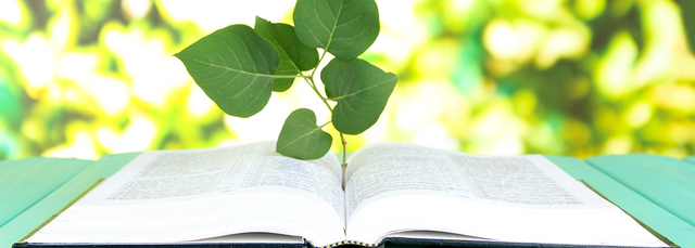 Η τελική σύσκεψη