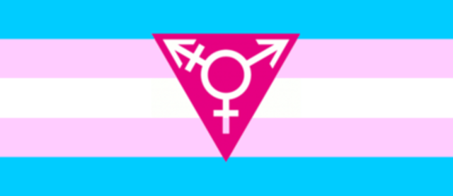 Colorado's 1st Transgender Parent