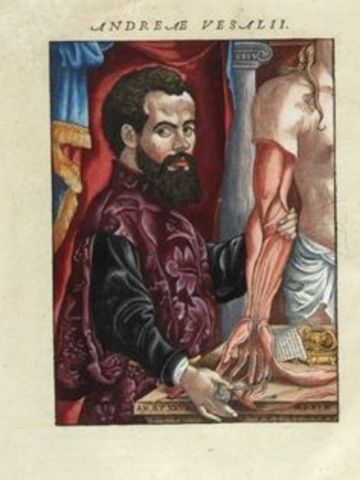 Anatomía Del Cuerpo Humano