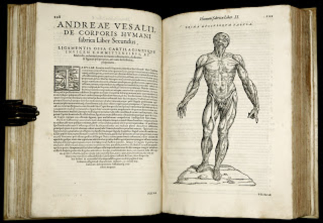 Primer Libro De Anatomía Humana