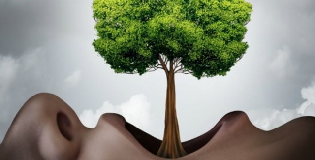 Lingüística comparada