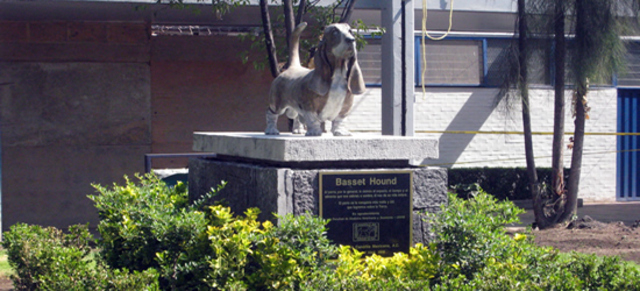 Se crea la escuela de Agricultura y Veterinaria.