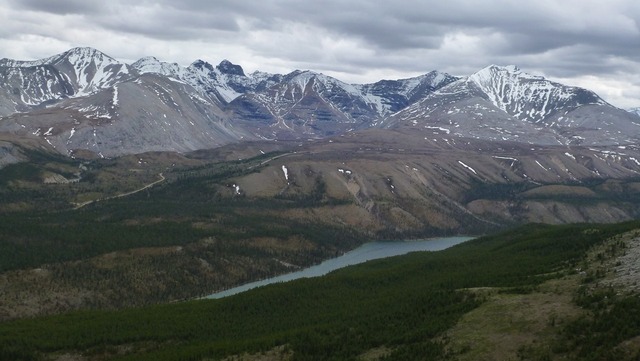 Northern rockies wolves delisted