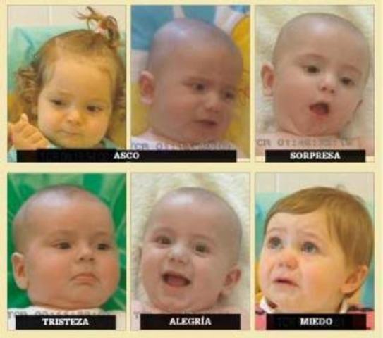 4-5 Meses, Expresiones