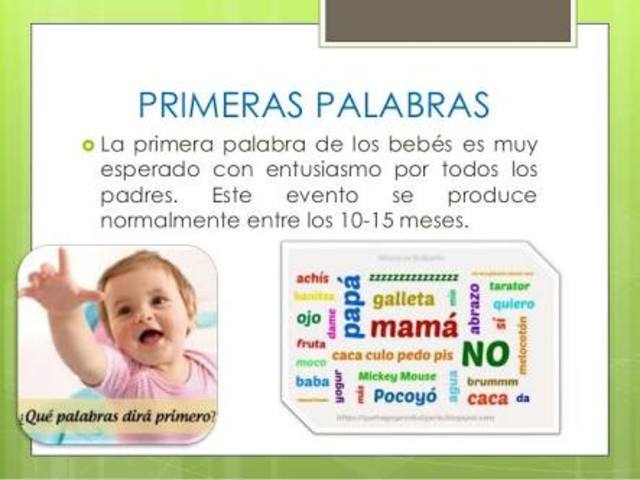 16 Meses- 50 a 100 Palabras.