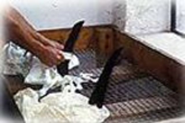 The First "White" Paper