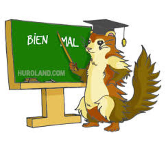 EVALUAR POR MEDIO DE LOS CENTROS