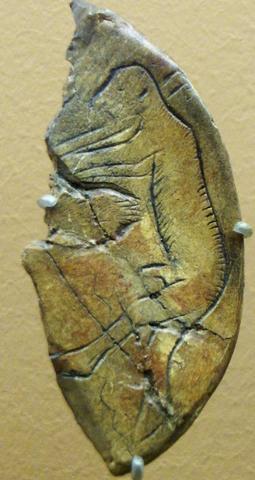 Paleolitico Superior