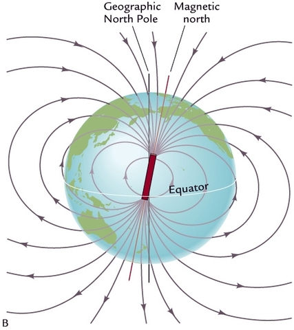 Proof Via Paleomagnetism